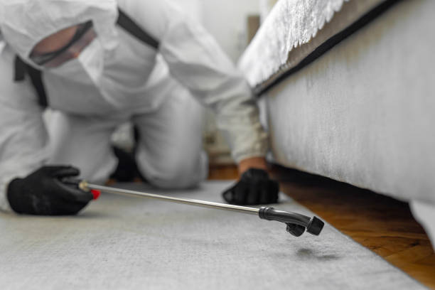 Professional Cockroach Control technician working in Clay City, IN