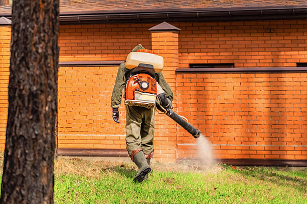Trusted Cockroach Control service in Clay City, IN - Nex Pest Control